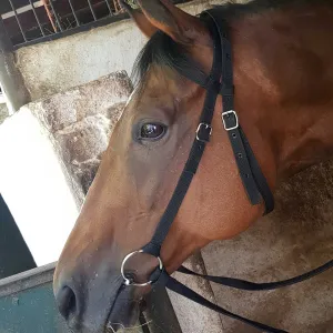 Bridle Nylon Work Solo