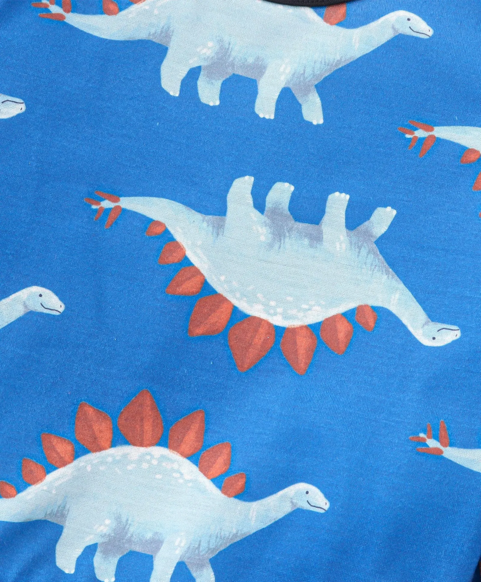 Dinasour Printed Sweatshirt Jogger Set