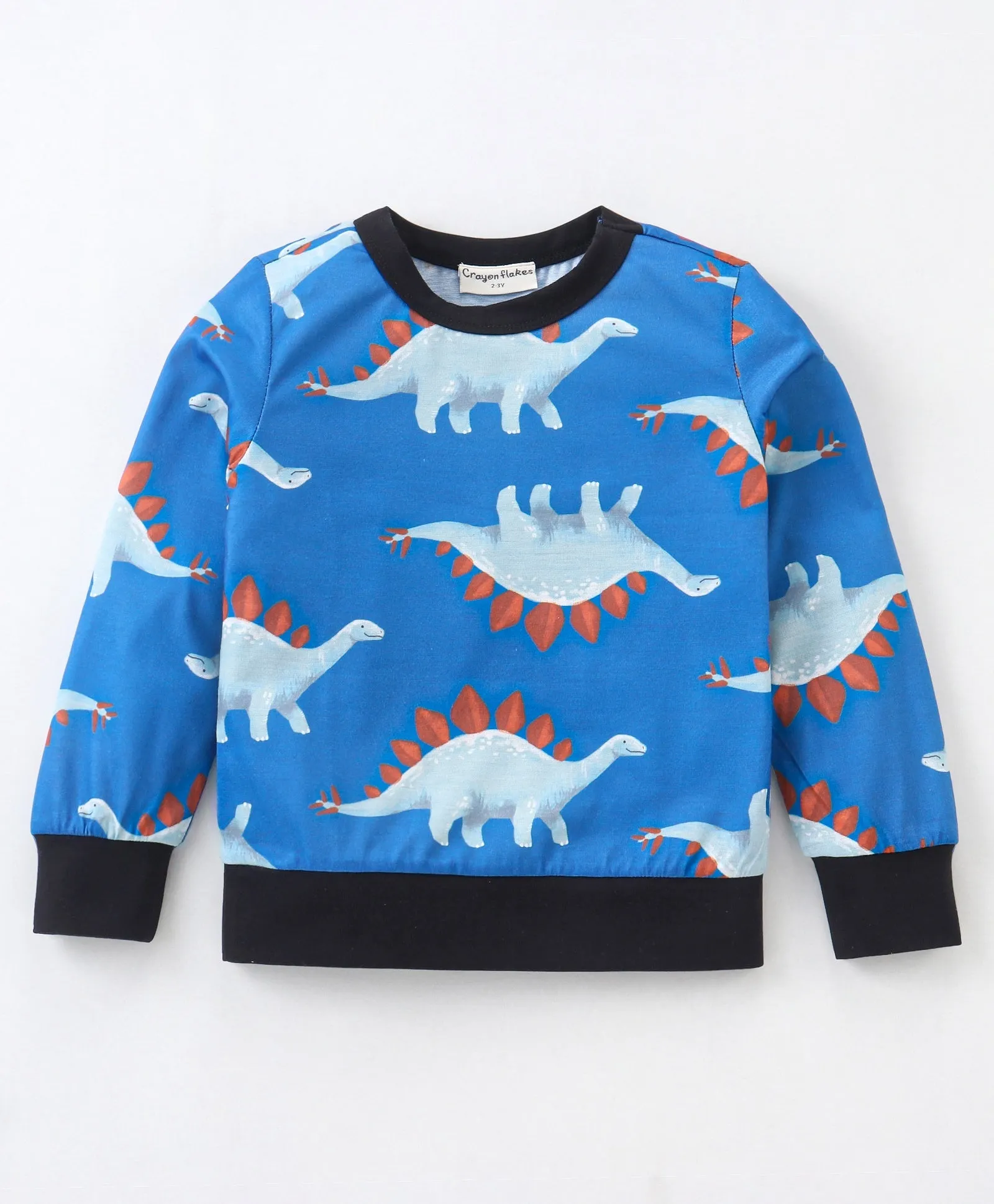 Dinasour Printed Sweatshirt Jogger Set